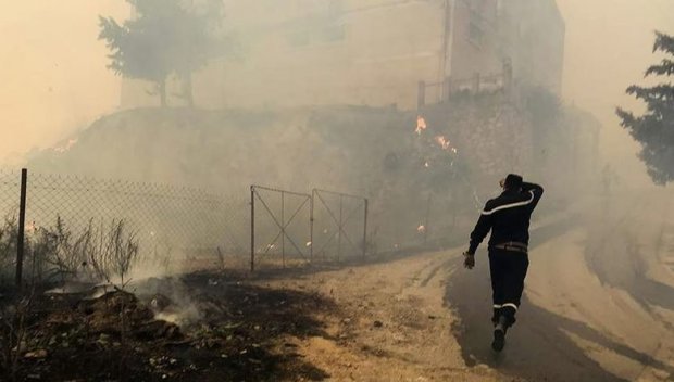 30 задържани от властите в Алжир по подозрение в палене на гори