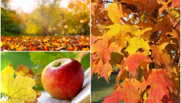 ЕСЕННА ПАЛИТРА: Вятърът стихва и пада мъгла, която сутрешното слънце стапя, а облаците остават високо (КАРТИ)