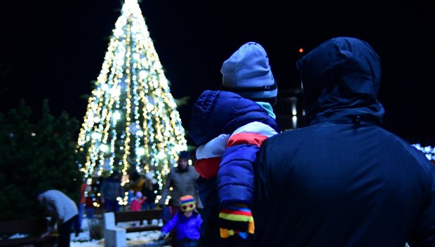 Грейна коледната елха в София (СНИМКИ)