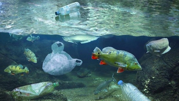 Трябва да премахнем въглерода, за да избегнем голяма екологична катастрофа