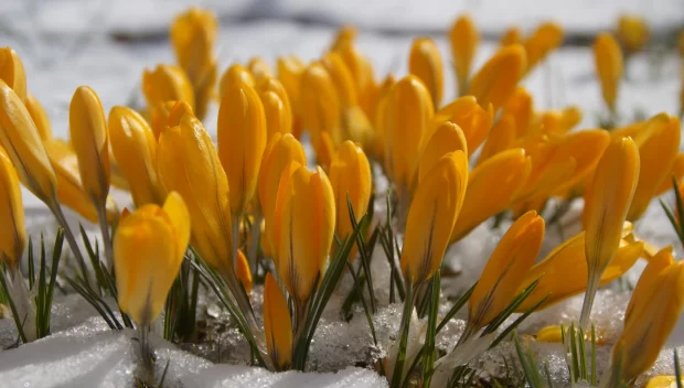 Какво време се задава оттук-нататък и ще ни изненада ли февруари?