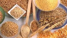 КОШМАРНА ПРОГНОЗА: Световната продоволствена криза ще продължи години