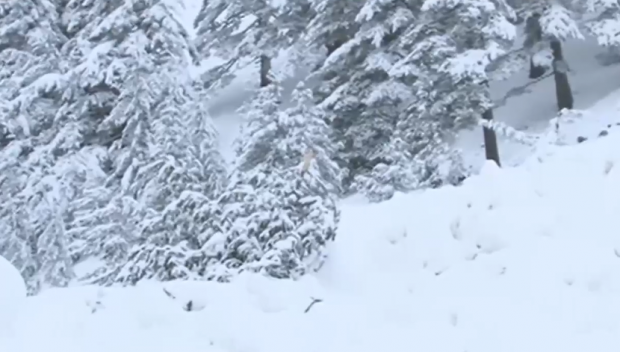 ОТ ПОСЛЕДНИТЕ МИНУТИ! Мъртъв е падналият под Вихрен планинар