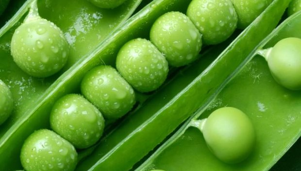 Оранжерийно производство на зеленчуци обсъждаме с Румъния