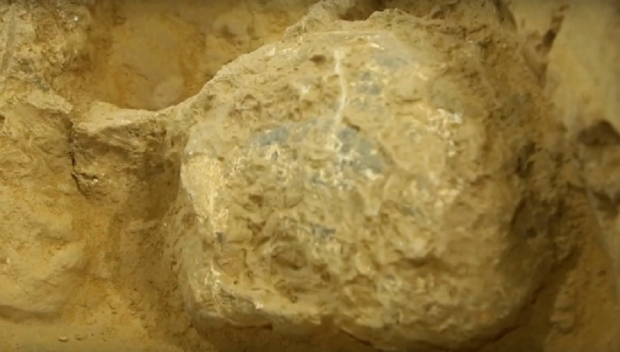 СЕНЗАЦИЯ: Археолози откриха фосилизиран череп на Хомо еректус на 1 млн. години (ВИДЕО)