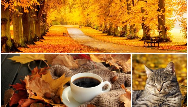 ВАЛЕЖИТЕ СПИРАТ: Не се подвеждайте по слънцето, хладното време остава (КАРТА)