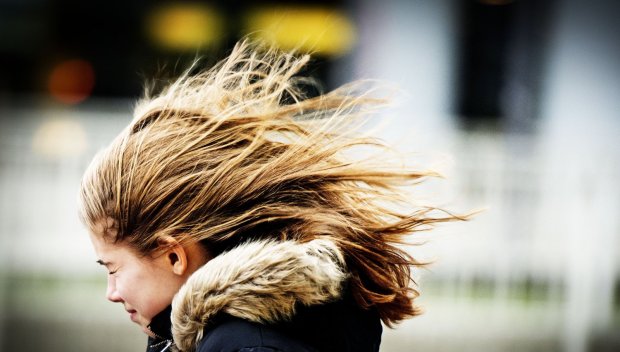 Жълт код за силен вятър в 6 области у нас е обявен за утре (КАРТА)