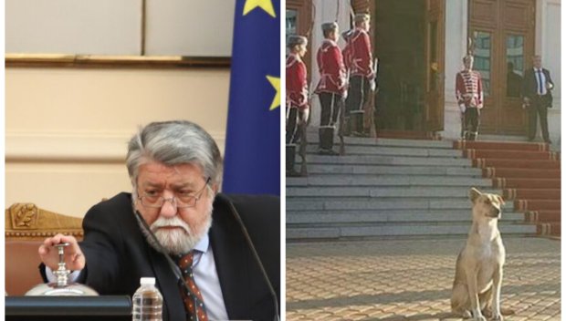 Жалкият край на единствения войнолюбив парламент в историята на България - дори кучето заряза депутатите на изпроводяк