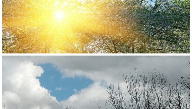 ПОДРАНИЛА ПРОЛЕТ! Слънцето топи сутрешните мъгли и вдига градусите над 17° (КАРТИ)