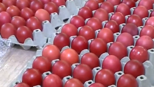 Птицевъдите алармират: Споразумението със страните от Меркосур ще е пагубно