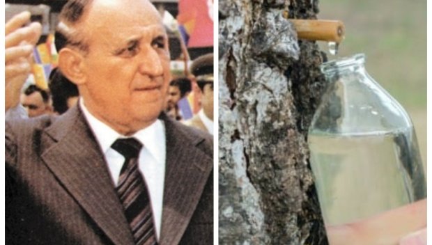 Звездите полудяха по целебния брезов сок на Тодор Живков