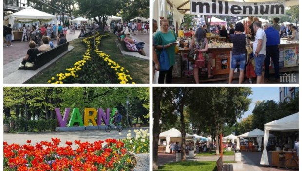 Алея на книгата във Варна най-вероятно ще има! Общината ще остави изложението на досегашното място (ВИДЕО)