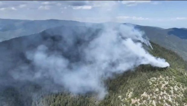 Горски пожар е избухнал в окръг Одрин, близо до границата с България