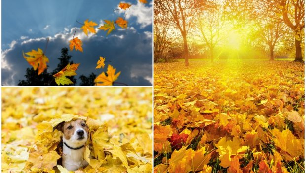 ШАРЕНО ВРЕМЕ: Тихо и слънчево до обед, после нахлуват облаци, на места ще превали (КАРТА)