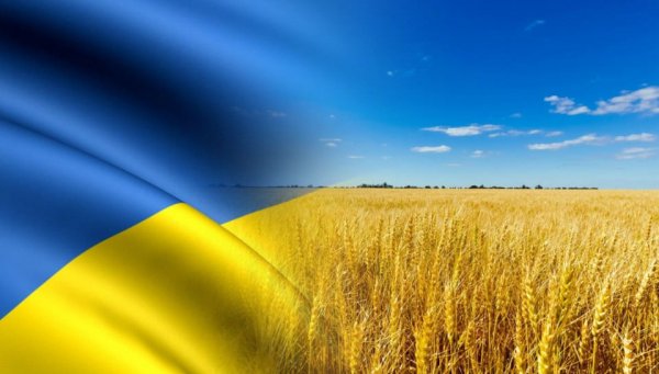 България и още три страни поискаха мито за украинското зърно