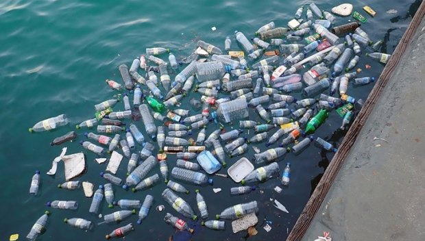ЕКО УЖАС! Дунав носи 100 тона пластмаса годишно