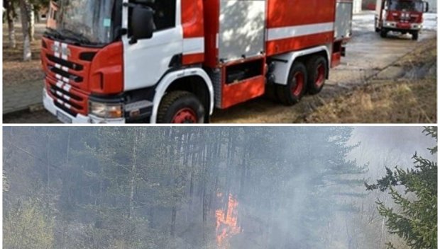 СИГНАЛ ДО ПИК: Голям пожар край Троян - запали се борова гора, вятърът разнася пламъците (СНИМКИ)