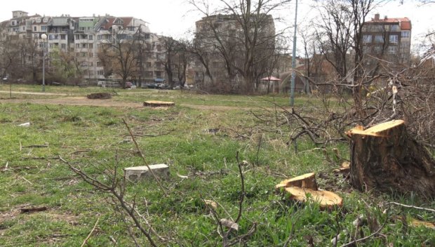ОБРАТ: ВАС решава съдбата на емблематичен парк в Пловдив