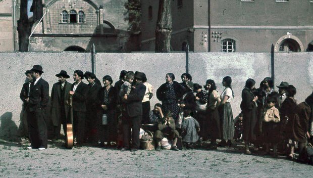 Почитаме паметта на близо 500 хиляди роми, загинали по време на Холокоста
