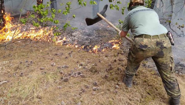 Земеделци от Видинско ще помагат на фермери, пострадали от пожарите