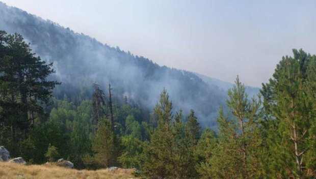 Загасиха новия пожар в планината Славянка