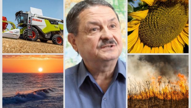 САМО В ПИК TV! ТОП ПРОГНОЗАТА на проф. Рачев: Идват още яки жеги. Пазете се от... (ВИДЕО)