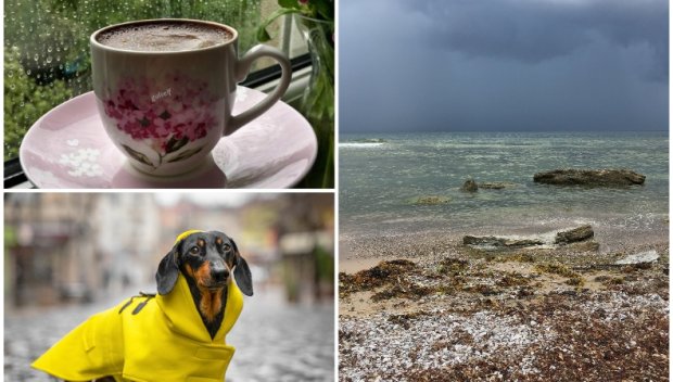 РУКНА ДЪЖД! Валежите са на места над Западна България с гръмотевици, бурите пълзят на изток, но не стигат морето (КАРТИ)