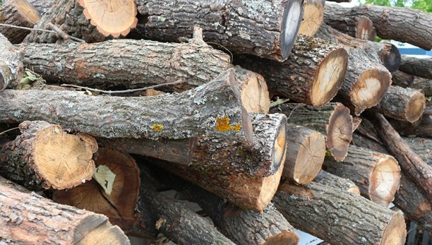 Дете загина, затиснато от самоделна количка за дърва