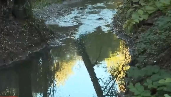 Прокуратурата в Кюстендил разследва умишлено замърсяване на кладенци за питейна вода