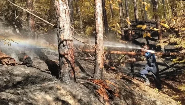 Пожар лумна над Хисаря, търсят доброволци