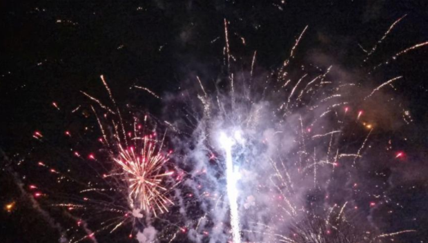 Експерти предупреждават: Пиратките застрашават животните