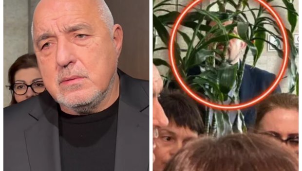 ШПИОНАЖ В ПАРТИЙНИЯ ДОМ: Няма да повярвате кой измести Насти Фикуса от брифингите на Борисов (СНИМКА)