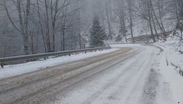 Проф. Георги Рачев: Снегът се задава още довечера, бяла Коледа ще има в Северозапада