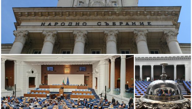 Паун Цонев в ПИК и Ретро: Разгонени политически мелези въртят шоуто в парламента 