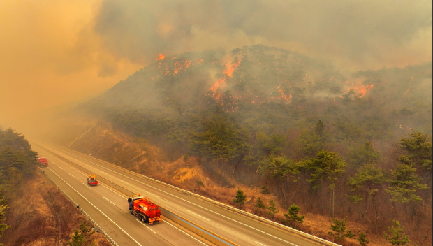 Пожар край Враца ограничава движението по международния път Е-79