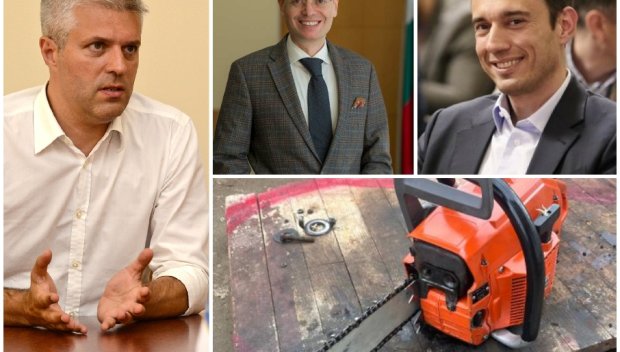 ПОТРЕСАВАЩО В ПИК: Промяната“ с фетиш към резачките - още един кмет на ППДБ бастиса над 30 дървета (СНИМКИ)