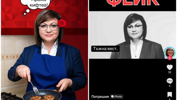 МРЕЖАТА ГЪРМИ за изцепката на Нинова: Мечтата на всеки български мъж е жената да пържи кюфтета и да се пипа