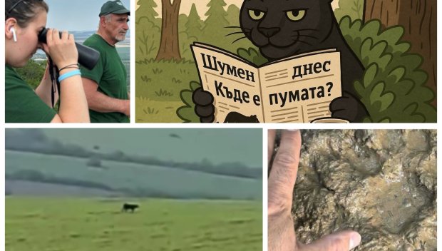 МИСТЕРИЯТА СЕ ЗАПЛИТА! Черният призрак бродил из Лудогорието от 2 месеца, дървосекачи в близка среща с пантерата (ВИДЕО/СНИМКИ)