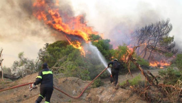 Жега и вятър създават риск от пожари в Гърция