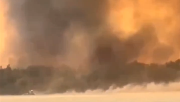 Горски пожар бушува в Източна Германия, евакуираните са хиляди (ВИДЕО)