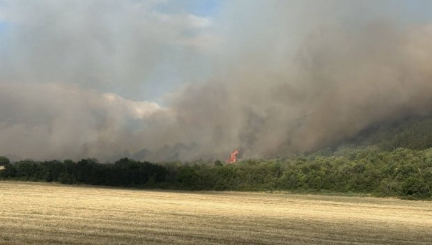 СТИХИЯТА КРАЙ МУРСАЛЕВО: Пожарът бушува върху 2000 декара