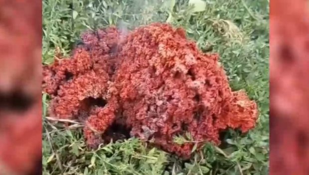 ЧУДО НЕВИЖДАНО! Странен червен обект кацна в двор на къща в Якоруда (ВИДЕО)