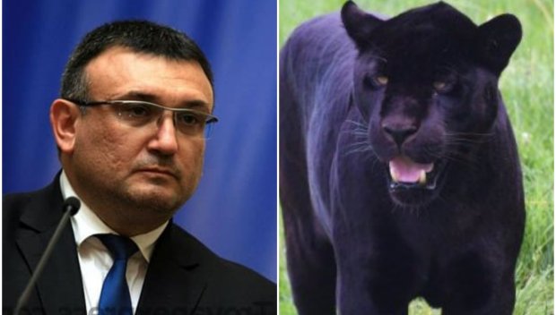 Бившият МВР министър Младен Маринов избяга от парламентарните дрязги на неочаквано място - ето какво намери там (СНИМКИ)