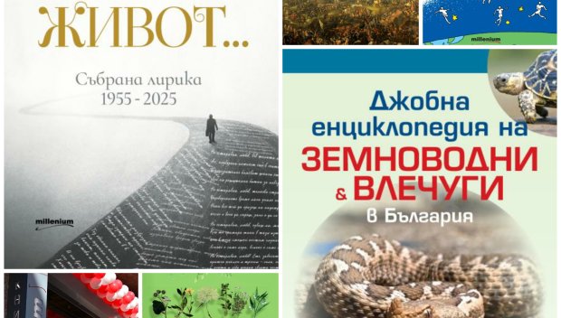 Топ 5 на най-продаваните книги на издателство Милениум (19-25 юли)