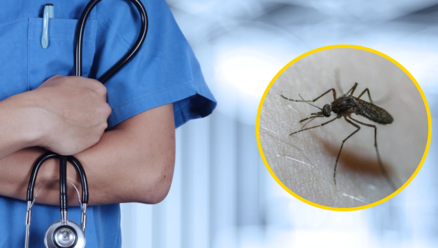 ВНИМАНИЕ: Нилска треска в София