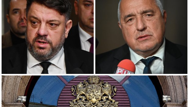 СЕНЗАЦИОННА ВЕРСИЯ: Шут за ППДБ - БСП и ГЕРБ излъчват новия президент