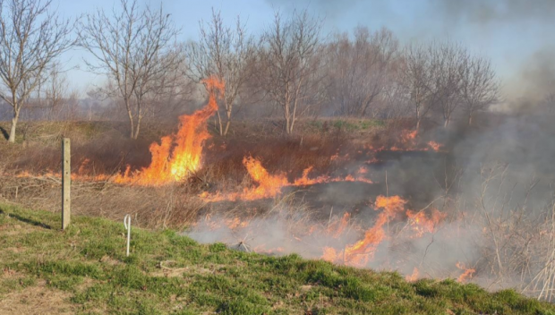 Къщи и стопански постройки изгоряха при пожар в Сърница