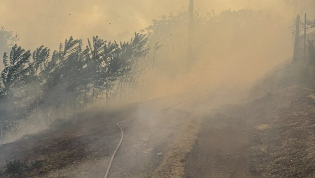 Пожар гори в местността Седми километър, кметът на Стара Загора Живко Тодоров е на място