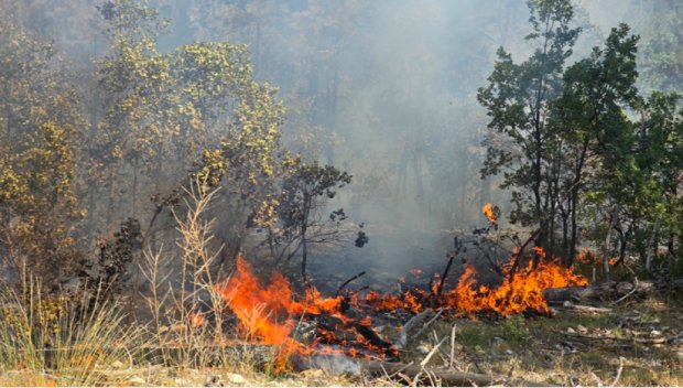 НЯМА КРАЙ: Пожар пламна край античния град Хераклея Синтика