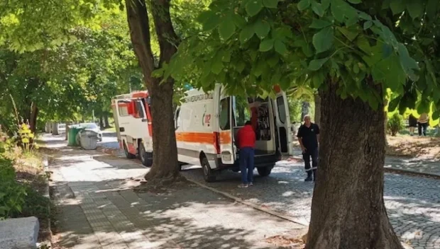 САКАТЛЪК: Голям клон цапардоса по главата пешеходец в Пловдив